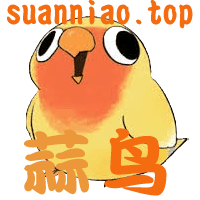 蒜鸟导航